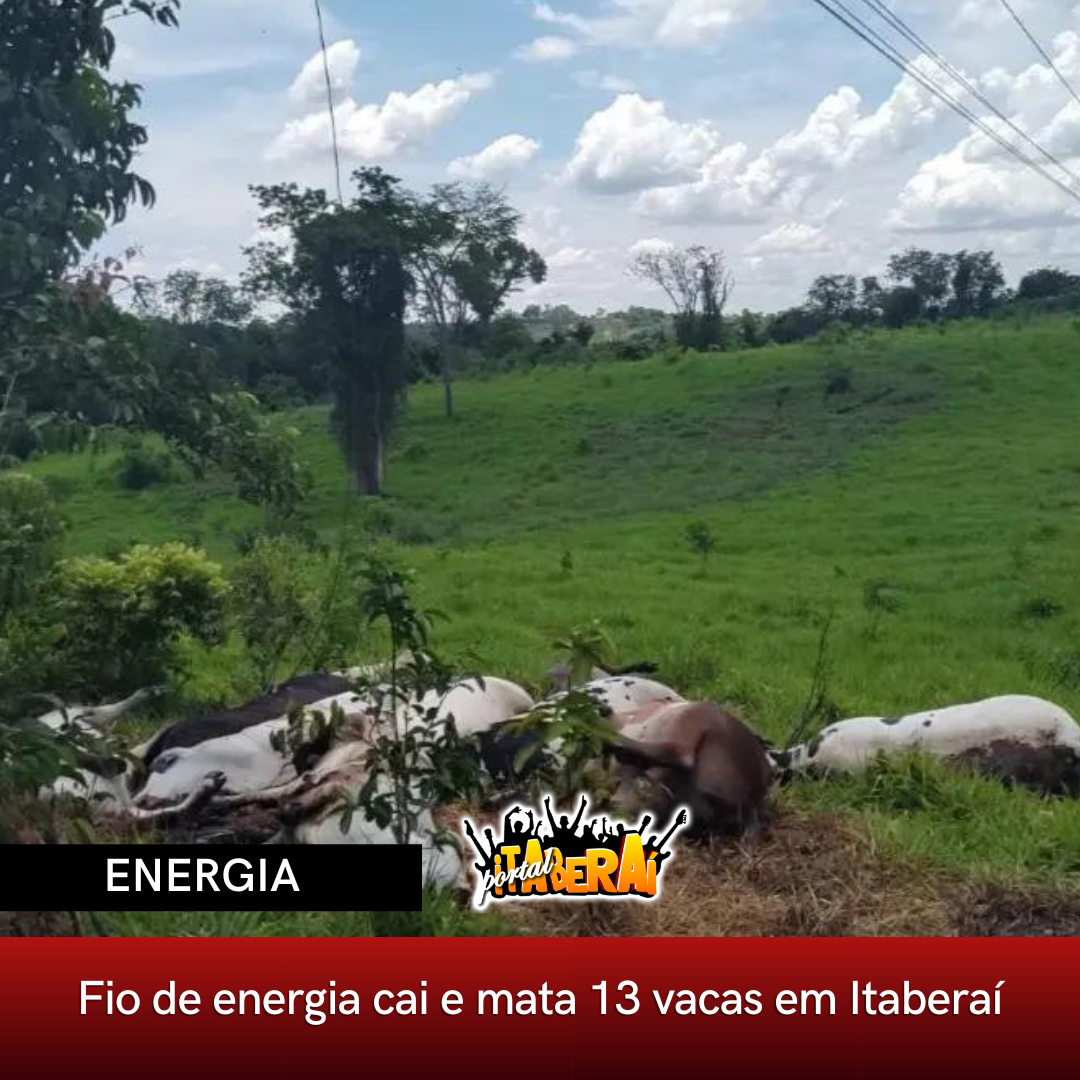 Post Instagram Barbearia Sextou Com Cabelo Na Régua Amarelo e Marrom